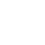 Geotechnical and Centre Line Investigations Icon